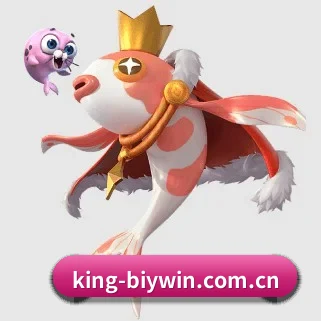 king-biywin.com.cn的方向 - 长期内容价值积累